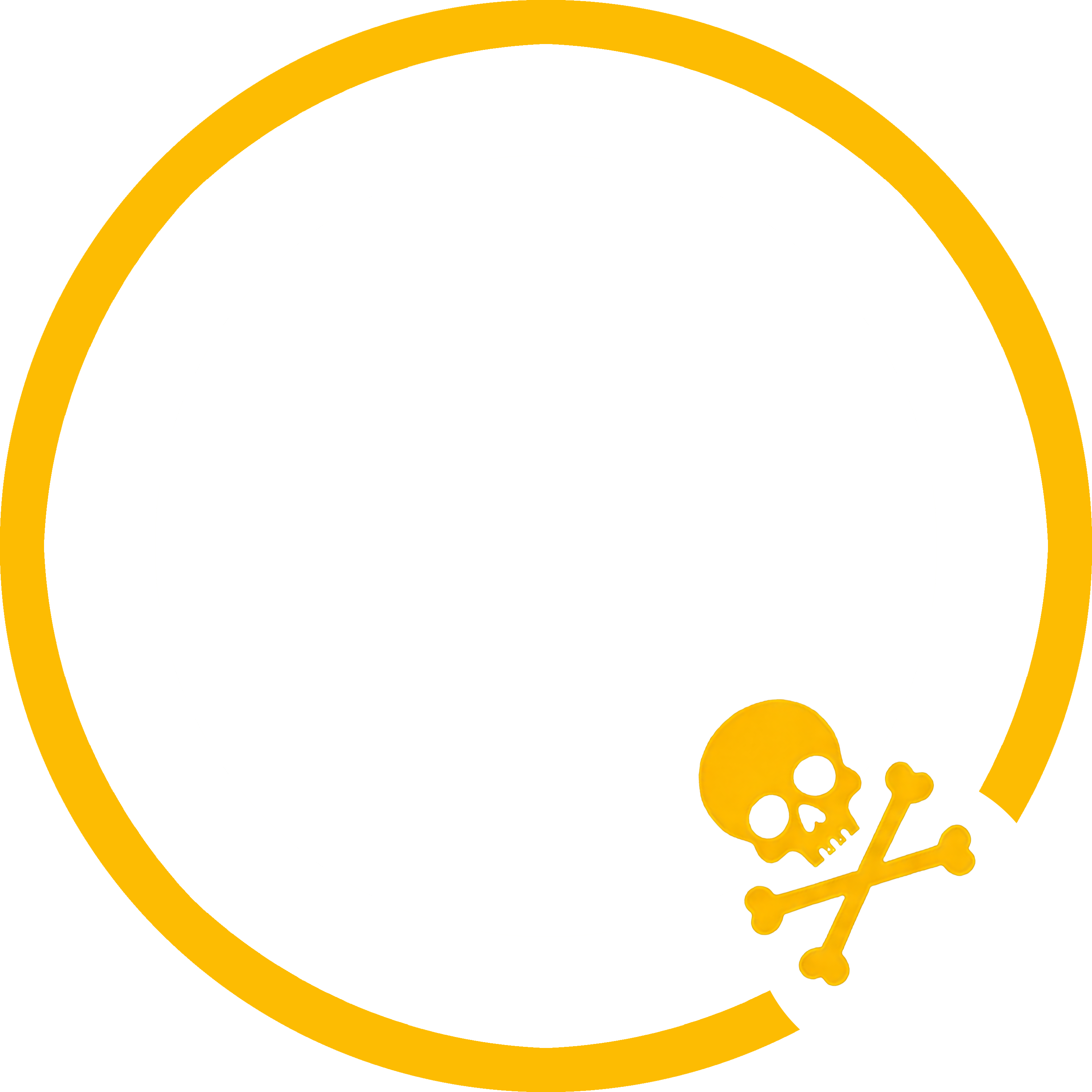 Skull & Crossbones custom ring overlay